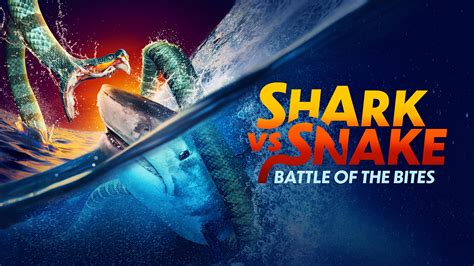 Shark Vs. Snake: Battle Of The Bites | Astro Content