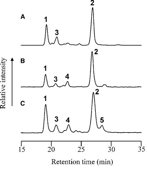 Partial Base Peak Chromatogram Obtained By Hplc Atmospheric Pressure