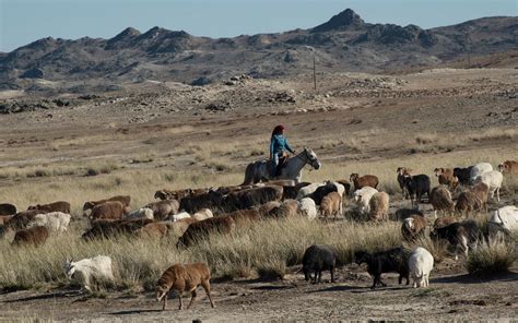 Ancient Nomadic Life Withers Mclc Resource Center