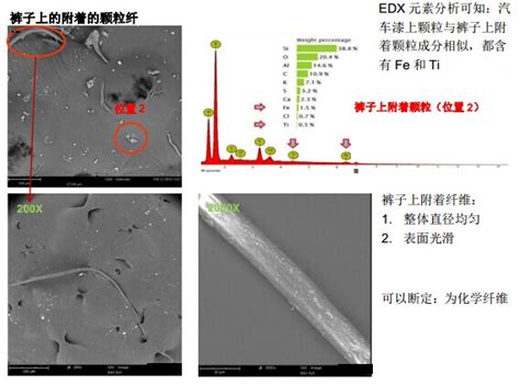 【服装材料纤维，造纸】sem Edx 在交通事故中司法鉴定中的应用 新材料 金鉴实验室