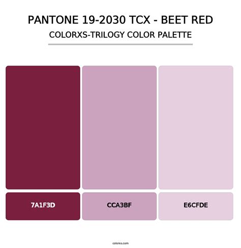 PANTONE 19 2030 TCX Beet Red Color Palettes Colorxs