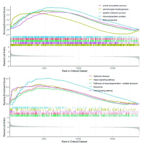 Gsea Analysis Of Coad Patient In Correlation With Up Regulated Pathways