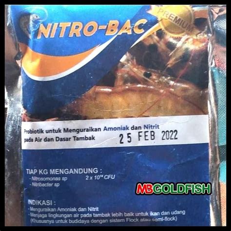 Jual Probiotik Bakteri Bacteri Starter Nitrobacter Nitrosomonas