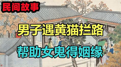 民間故事合集：男子遇黃貓攔路，幫助女鬼得姻緣 Youtube