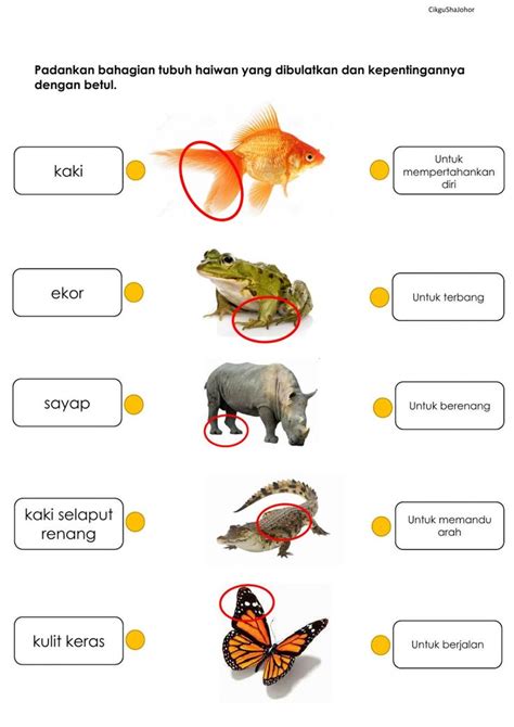 Lembaran Kerja Sains Tahun 1 Haiwan Latihan Dunia Sains Kssr Tahun 1
