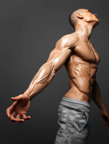 80+ Bodybuilders Hand And Arm With Veins Stock Photos, Pictures ...