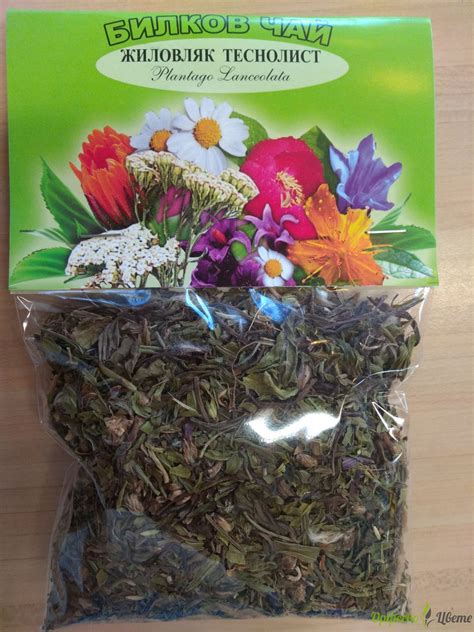 Живовляк теснолист 50 гр/ Plantago lanceolata 50 gr, БИЛКИ И ЧАЙОВЕ ...