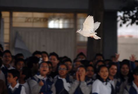 Daniel Becerril La Escuela Secundaria Andres S Viesca Piden Paz