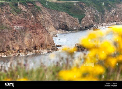 Durham Heritage Coast near Easington Colliery, County Durham, UK Stock ...