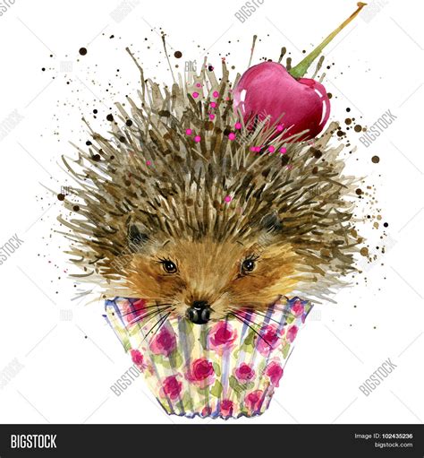 Hedgehog Dessert Image & Photo (Free Trial) | Bigstock