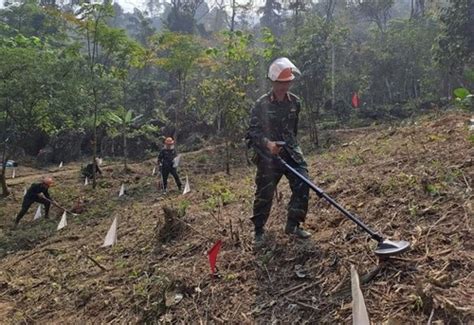 Vietnam Y Corea Del Sur Cooperan En Curso De Capacitaci N Sobre Minas