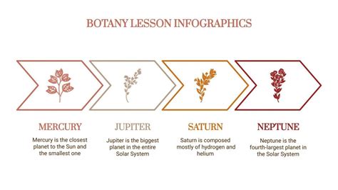 Botany Lesson Infographics Google Slides And Powerpoint