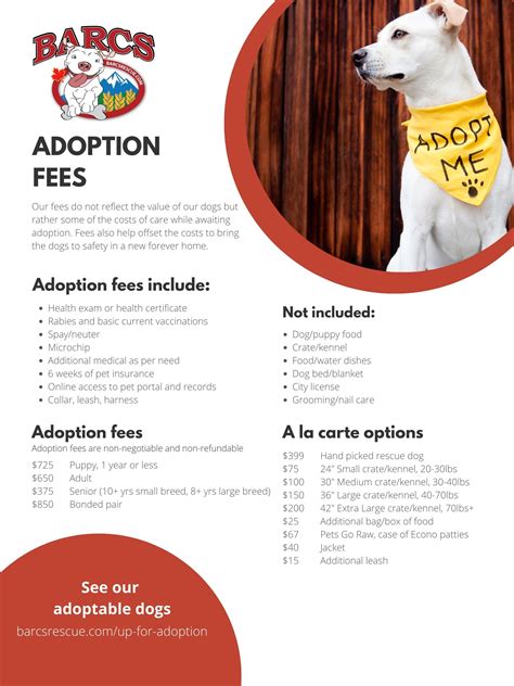 Animal advocates slam craigslist louisville pets for rehoming fees 27