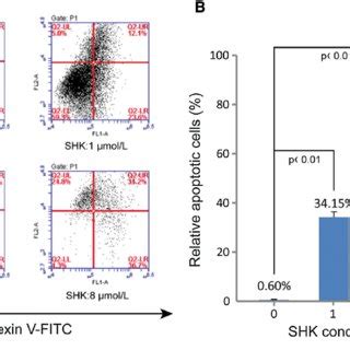 The Effect Of Shikonin On Cell Cycle Of A549 Cells A Flow Cytometric