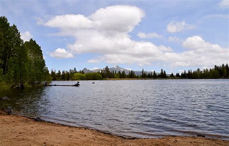 Scotts Lake Via Big Meadow Trailhead Tahoe Trail Guide