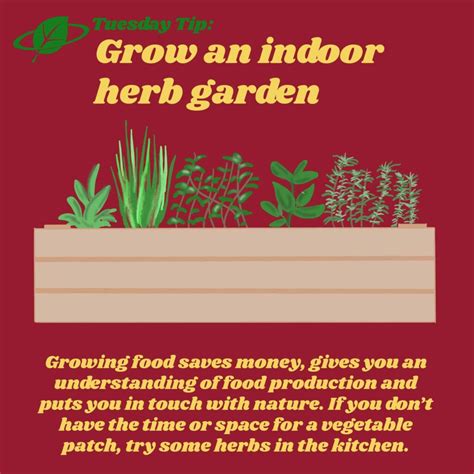 Grow An Indoor Herb Garden Tuesday Tip