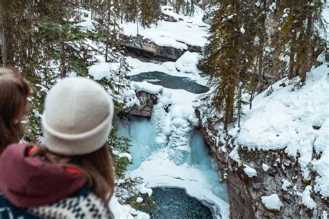 Hike Johnston Canyon Icewalk Discover Banff Tours