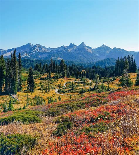 Doris the Explorist: Day Trip: Fall at Paradise, Mt. Rainier National Park