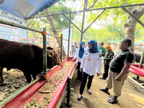 Sudin KPKP Jakpus Sudah Periksa Kesehatan 816 Hewan Kurban