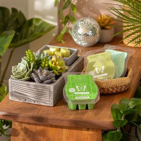 Plant Appreciation Day Scentsy Warmer Bundle Suc Cute Lent