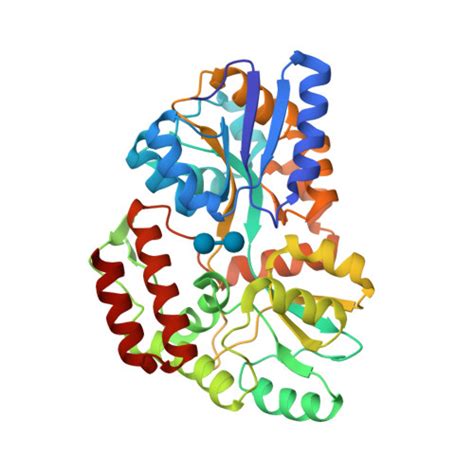 RCSB PDB 8YBE Cryo EM Structure Of Maltose Binding Protein