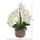 Phalaenopsis Orchid Artificial Arrangement In Stoneware Planter