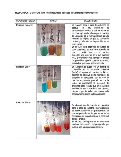 Determinacion De Carbohidratos Laboratorio De Biologia Ejercicios