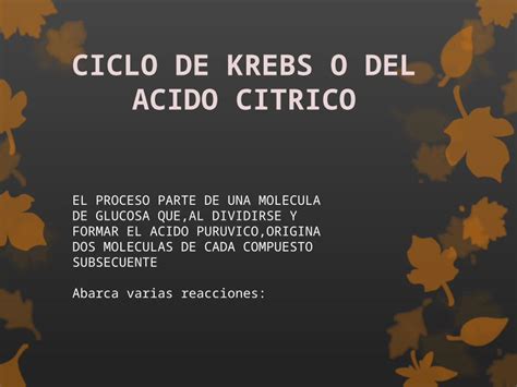 Pptx Ciclo De Krebs O Del Acido Citrico Dokumen Tips