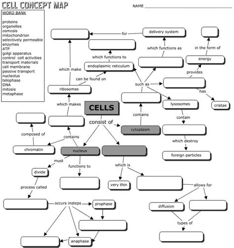 Cell Concept Map Biology Worksheet Teaching Biology Biology Lessons