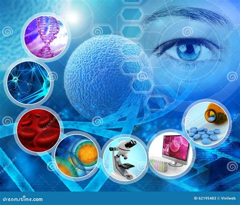 Les Sciences Médicales Image Stock Image Du Concept 62195483