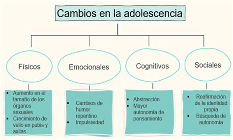 Los Cambios En La Adolescencia Civismo Primero De Secundaria Nte Mx