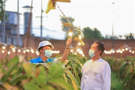 Petani Raup Keuntungan Berlipat Berkat Program Pln Electrifying Agriculture