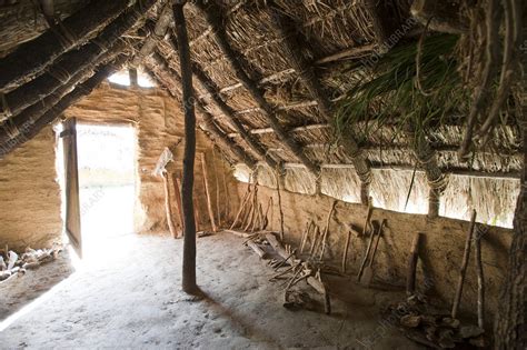 Interior of reconstructed Neolithic hut, La Draga site - Stock Image ...