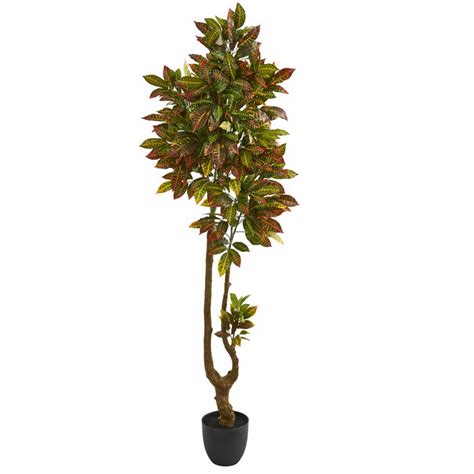 Charlton Home® Artificial Croton Foliage Tree In Planter Wayfair