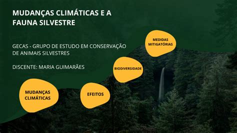 Mudan As Clim Ticas E Seu Impacto Na Fauna Silvestre By Maria Guimar Es