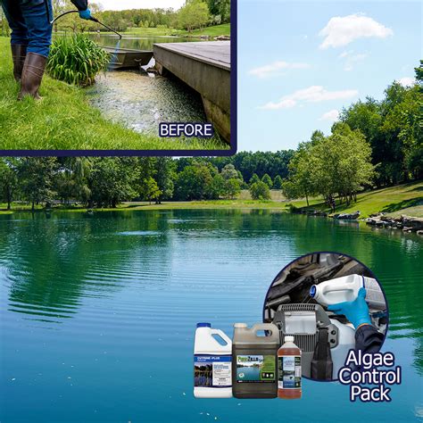 Algae Control Pond Package - Professional Algae Killer