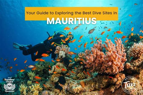 Diving In Mauritius Your Guide To Exploring The Best Dive Sites In