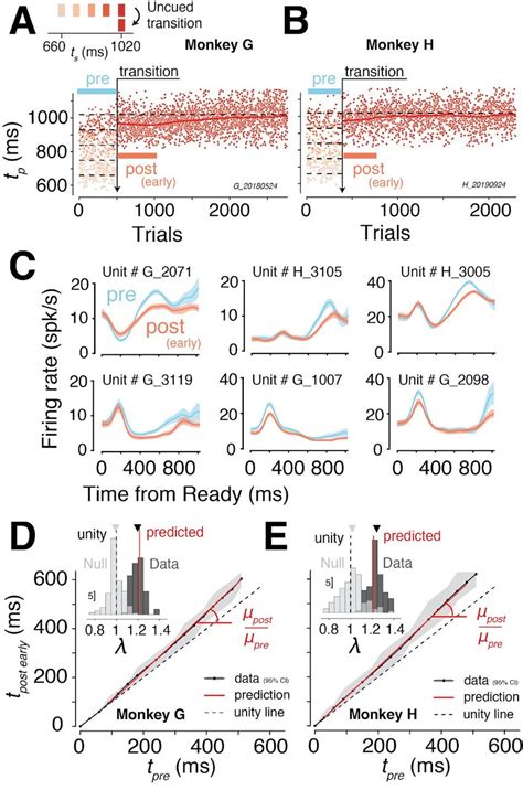 Behavioral And Neural Adaptation To Changes In Temporal Statistics