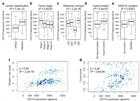 Clinicopathological Features And Cd133 Expression Signature Levels