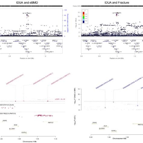 Genome Wide Distribution Of The Identified Ebmd Associated M A Snps