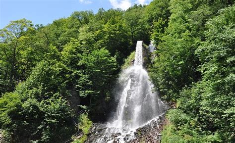 Triberger Waterfall Triberg 2020 All You Need To Know Before You Go