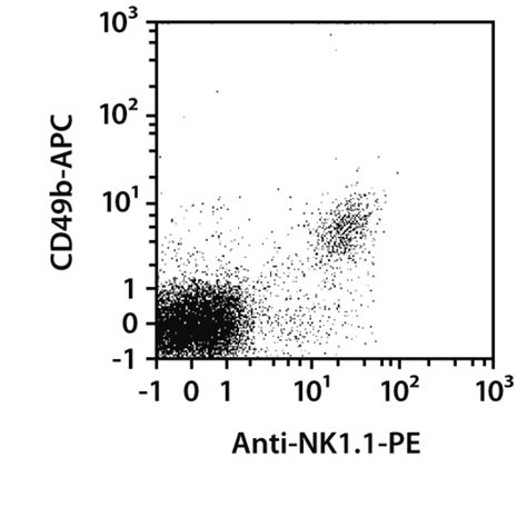 Nk Cells Mouse Miltenyi Biotec Canada