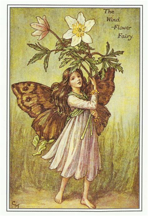 Cicely Mary Barker Vintage Fairies Vintage Flowers Flower Fairies