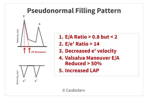 Understanding The Basics Lv Filling Patterns Cardioserv