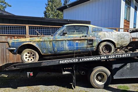 Moldy Barn Find Ford Mustang Fastback Barn Finds