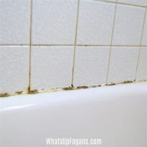 Easily Remove Black Mold from Your Shower Caulk| Mold In Shower Grout ...