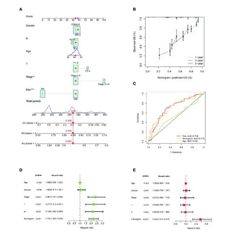 Establishment And Verification Of Nomogram A Nomogram With Risk