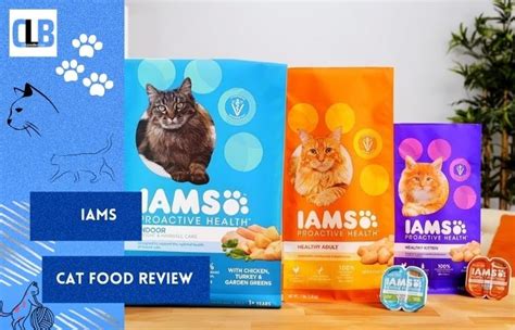 Iams Cat Food Review: Everything You Need to Know