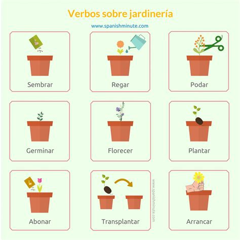 Vocabulario de jardinería en español Spanishminute