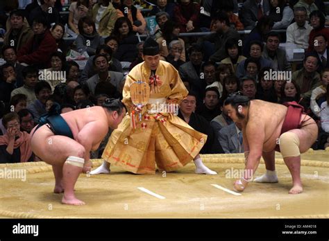 Sumo Wrestling